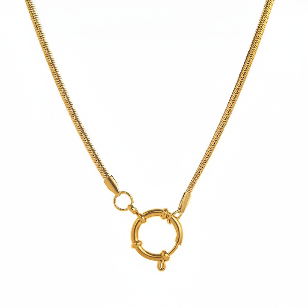 Snake Chain White Background
