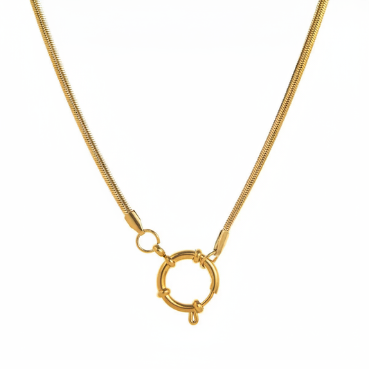 Snake Chain White Background