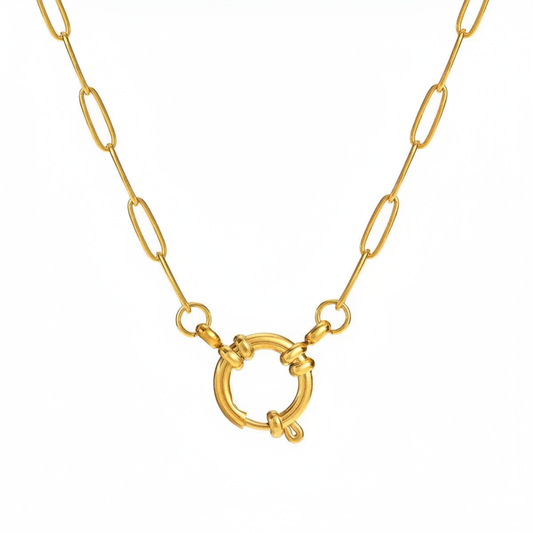 Thick Paperclip Chain White Background